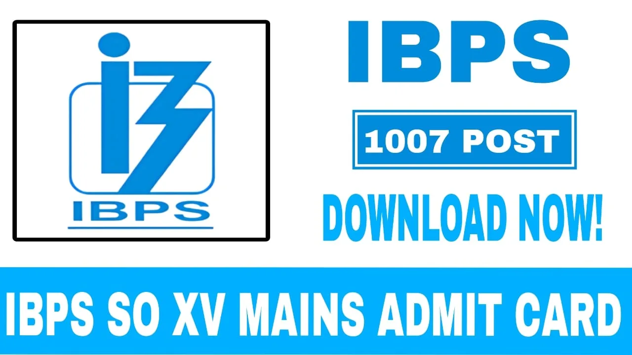 IBPS SO XV Mains Admit Card 2025